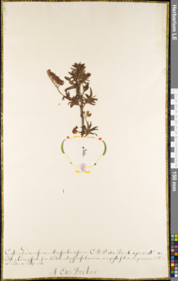 LE 01084836