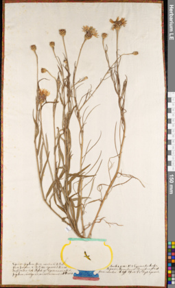 LE 01084841