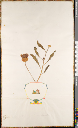 LE 01084854