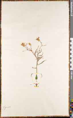 LE 01084857