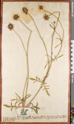 LE 01084864