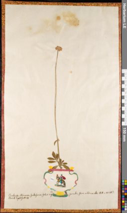 LE 01084868