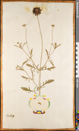 LE 01084876