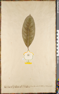 LE 01084885