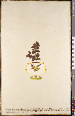 LE 01084887