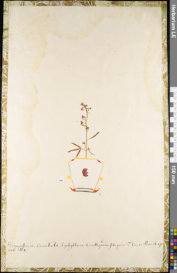 LE 01084889