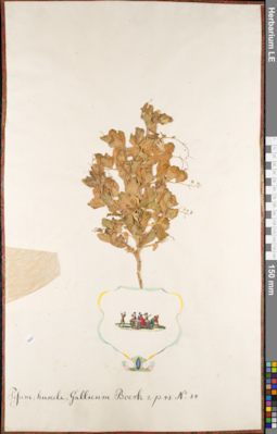 LE 01084892