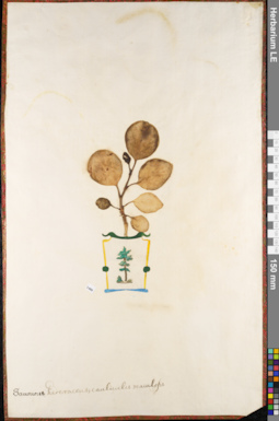 LE 01084897