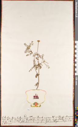 LE 01084932