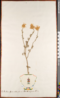 LE 01084936
