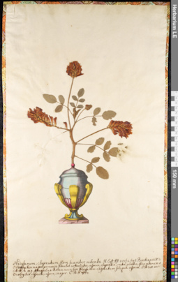 LE 01091018
