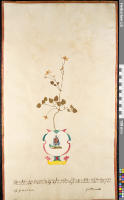 LE 01091050
