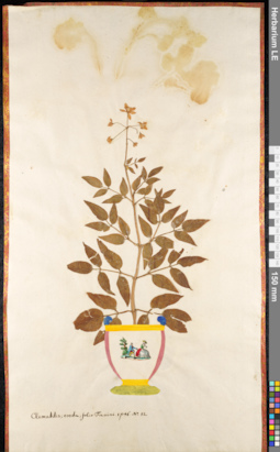 LE 01091057
