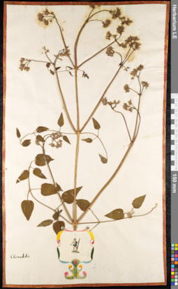 LE 01091058