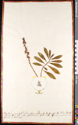 LE 01091073