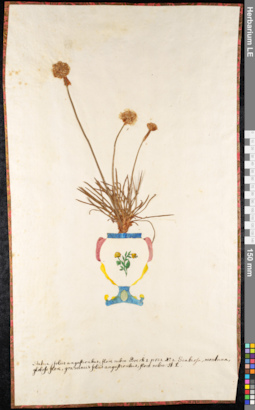 LE 01091082