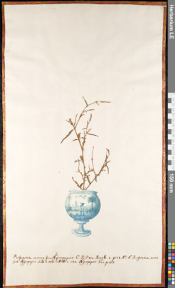 LE 01091090