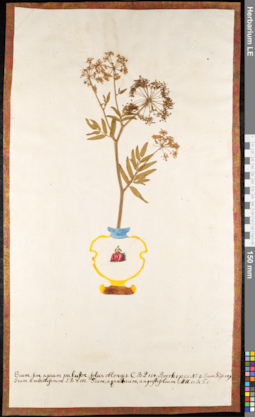 LE 01091115
