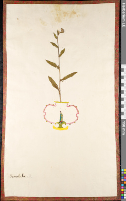 LE 01091140