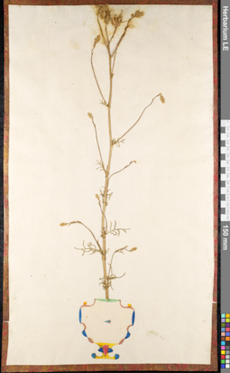 LE 01091141