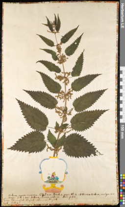 LE 01091147