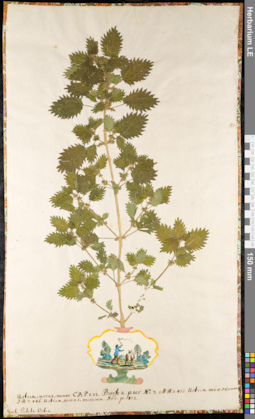 LE 01091149