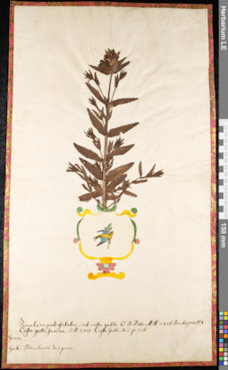 LE 01091186