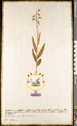 LE 01091193