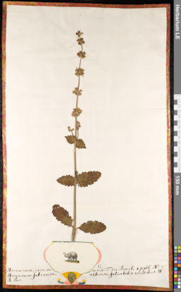 LE 01091197