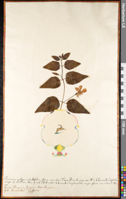 LE 01091240