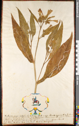 LE 01091261
