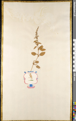 LE 01091265