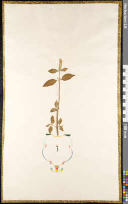 LE 01091266