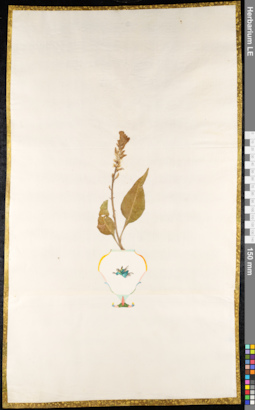 LE 01091269