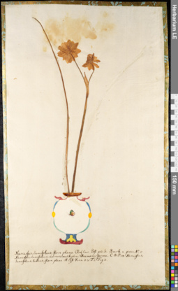 LE 01091285