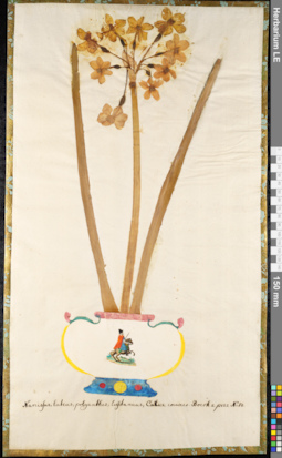 LE 01091288