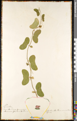 LE 01091326