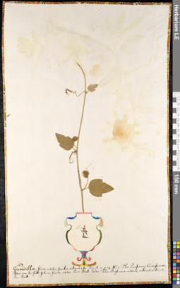 LE 01091329