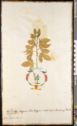 LE 01091331