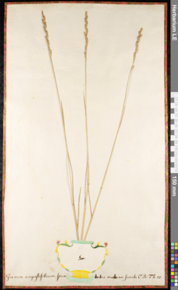 LE 01091355