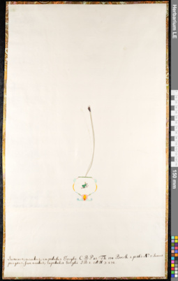 LE 01091373