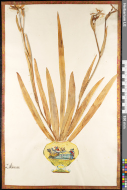 LE 01091383