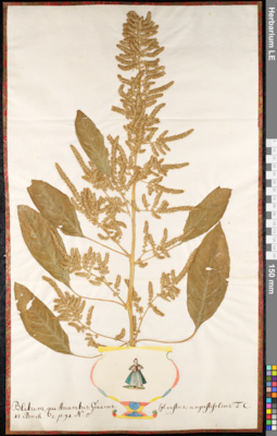 LE 01091454