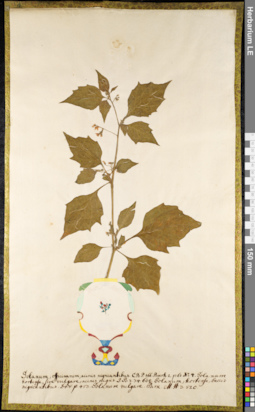 LE 01091460