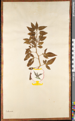LE 01091467