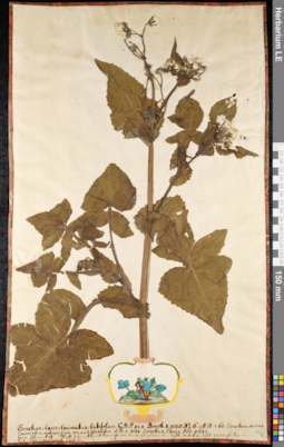 LE 01091474