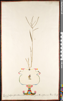 LE 01091506