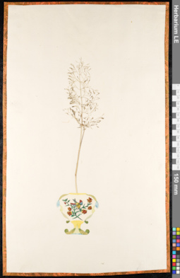 LE 01091510