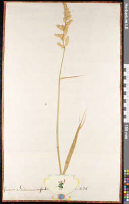 LE 01091511