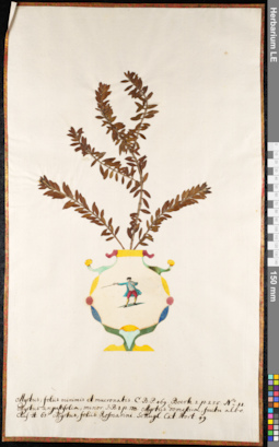 LE 01091537
